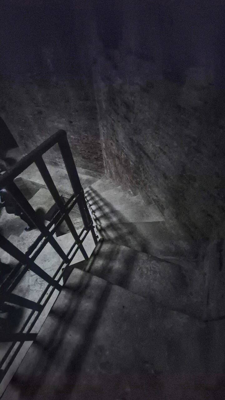 Tommaso Laureti's Genius