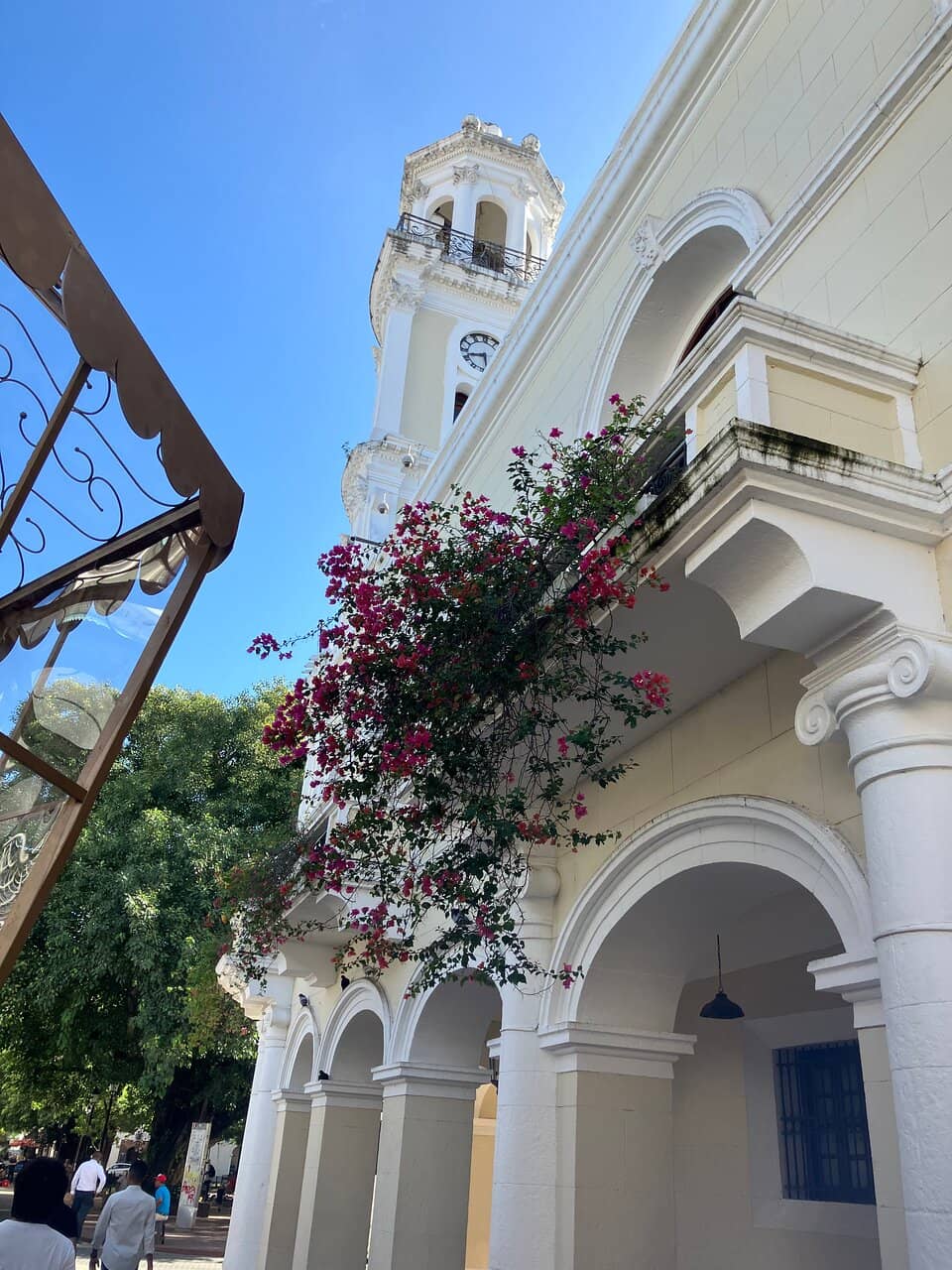 Vertical photo