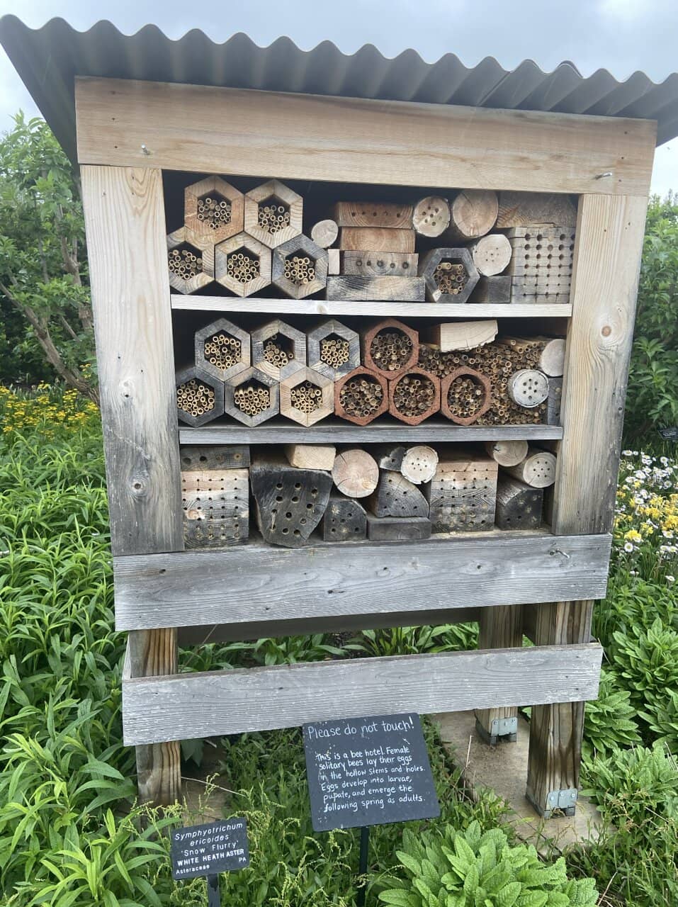 Children's Garden