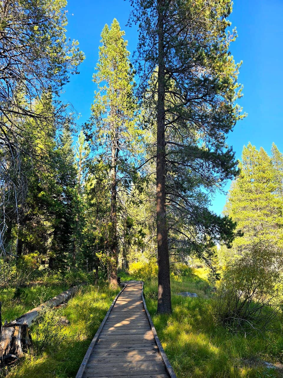Emigrant Trail Museum