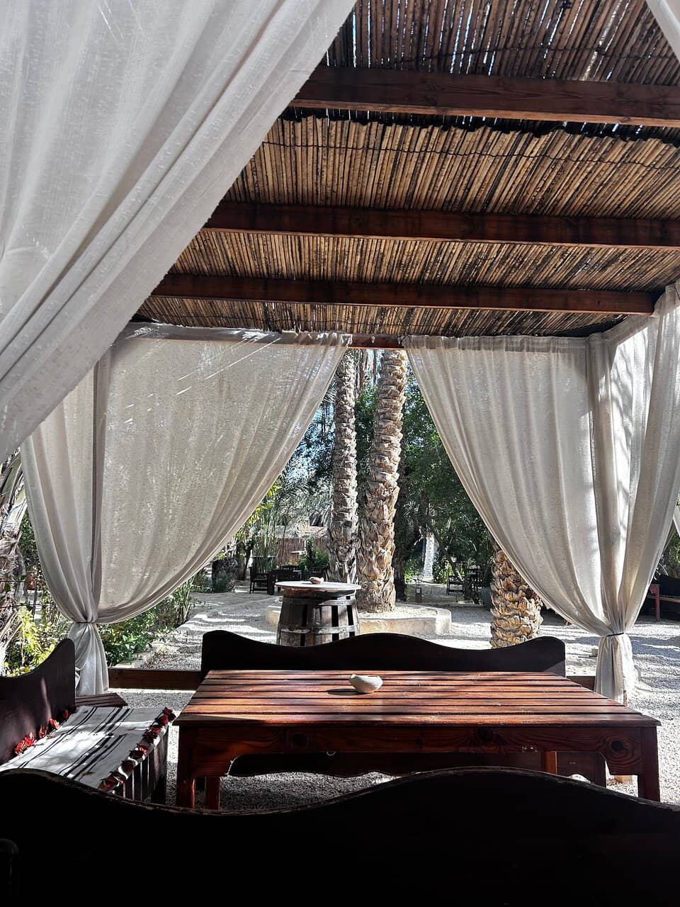 World Wonders on Dinosaur Shoulders