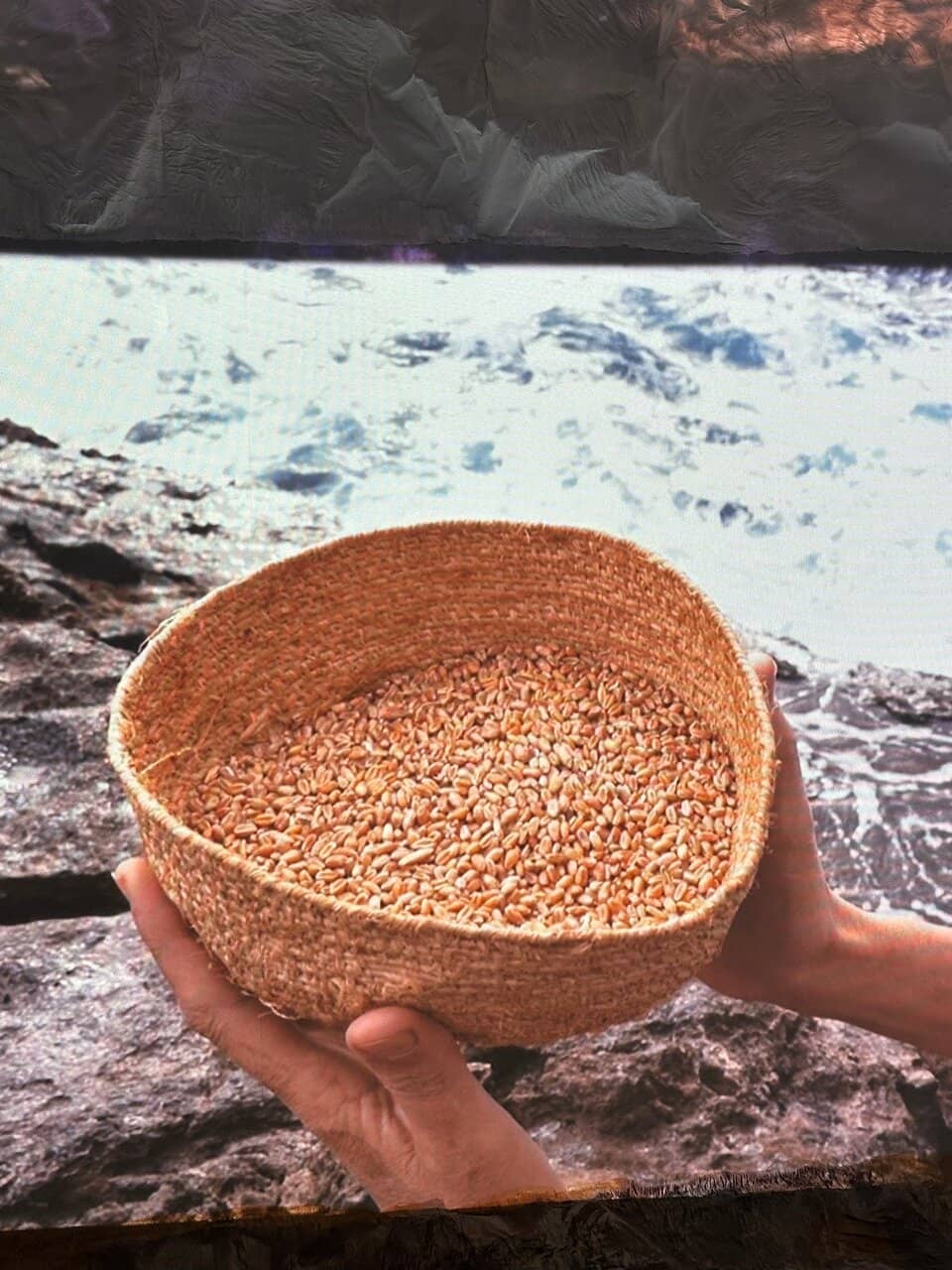 Aboriginal Artifacts