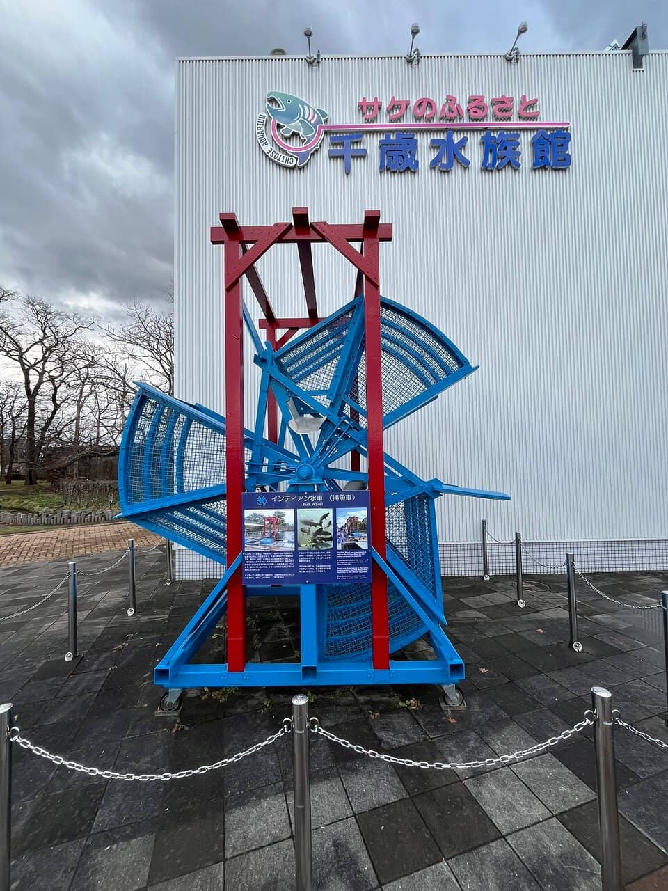 Vertical photo