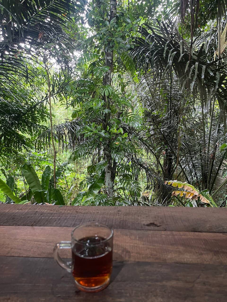 Sacred Jungle Walk