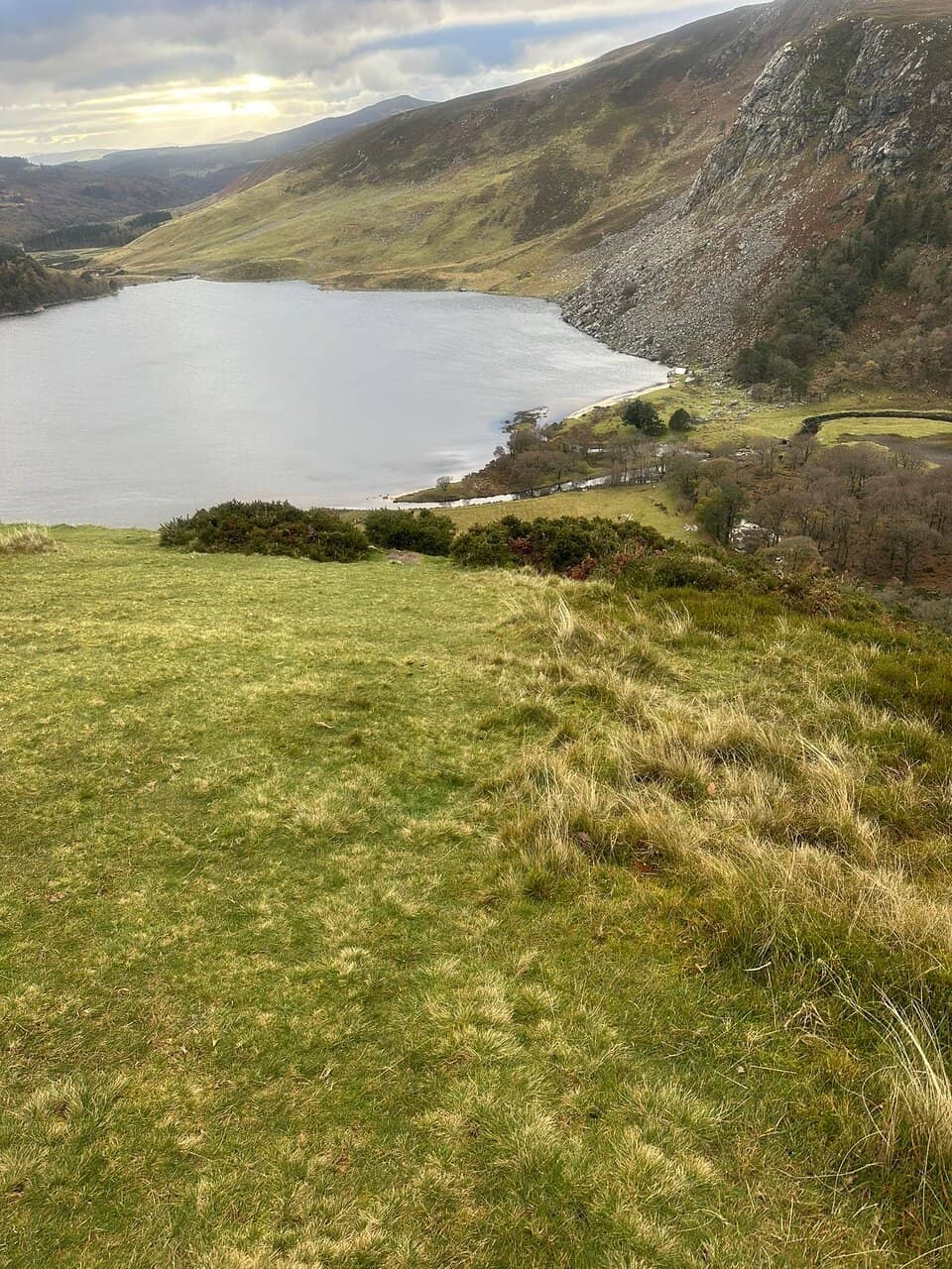 Ballinastoe Woods Walk