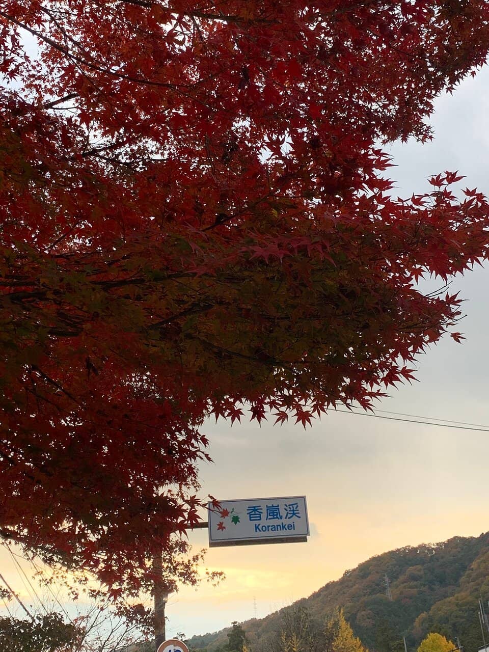 Taigetsukyo Bridge