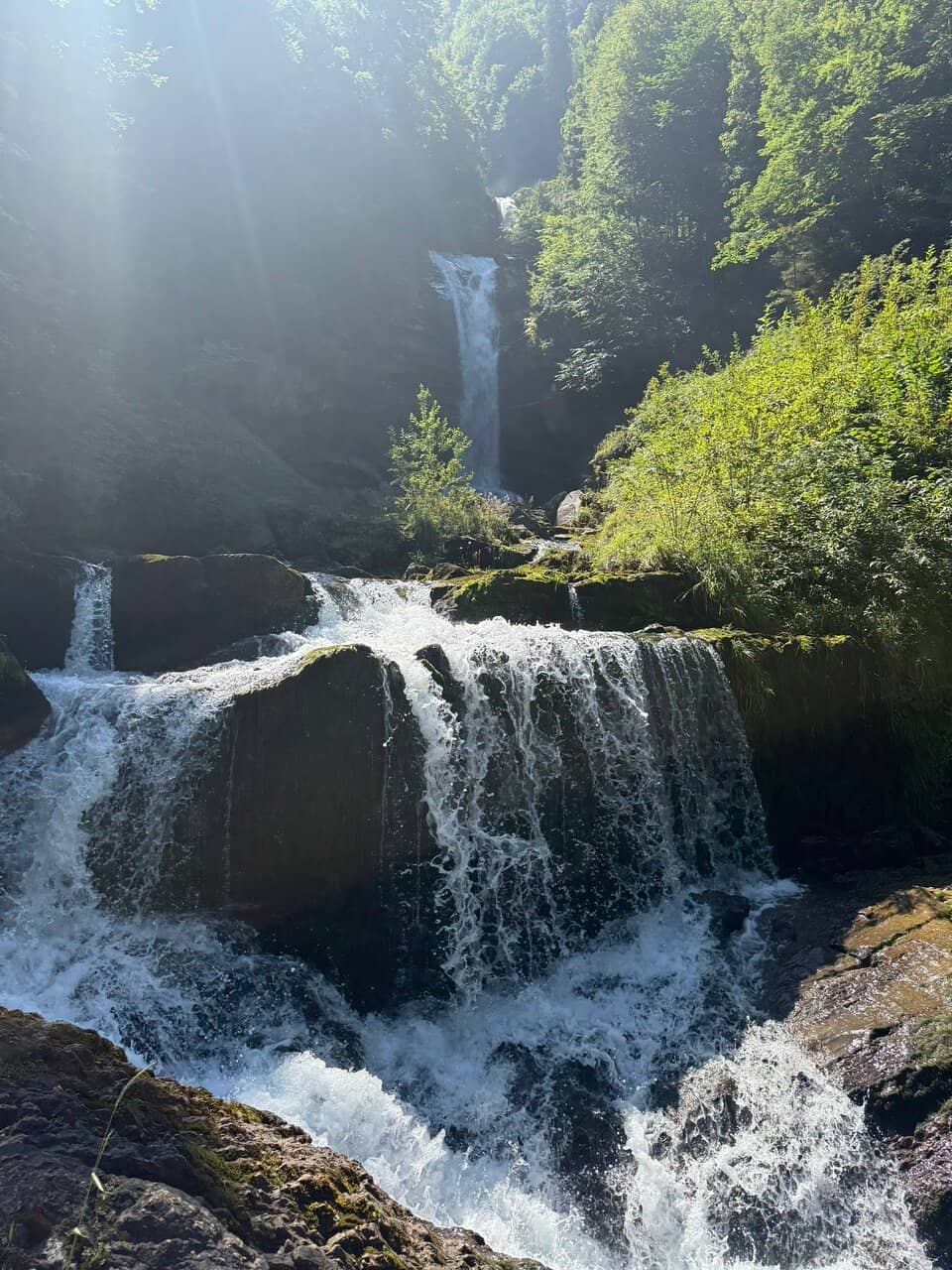 Vertical photo