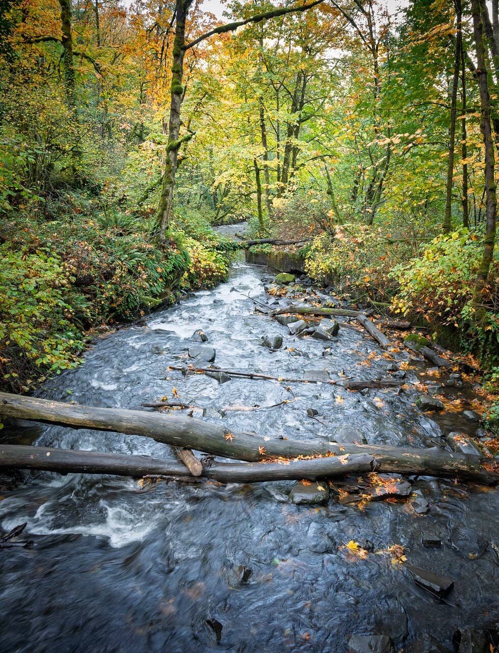Short, Scenic Loop Trail
