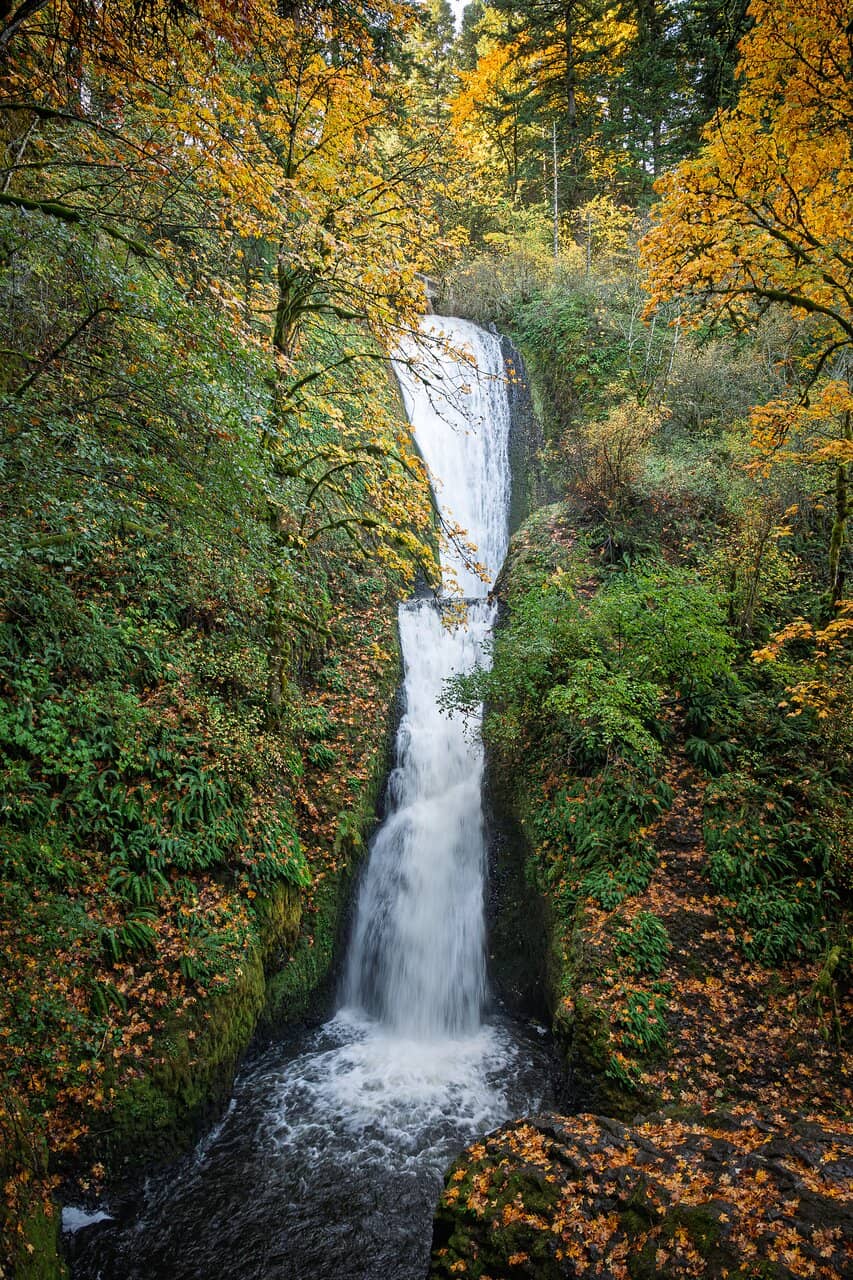 River Gorge Views