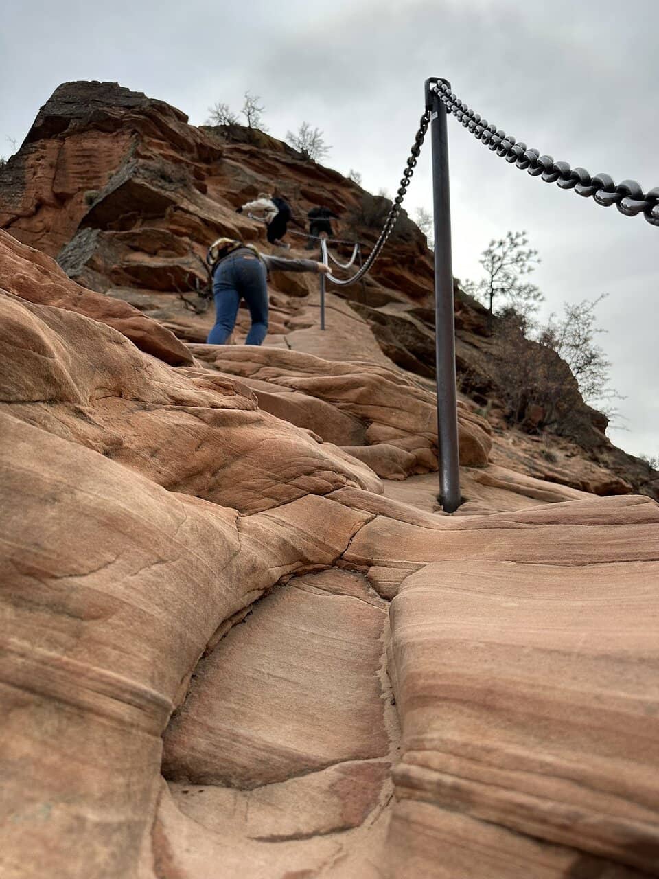 The Chain Section