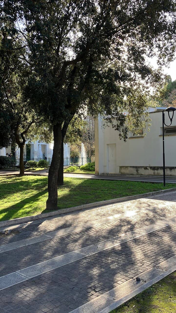 Children's Playgrounds