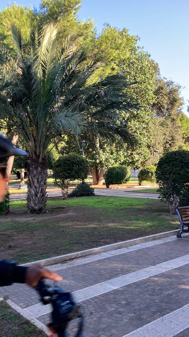 Neoclassical Pavilion