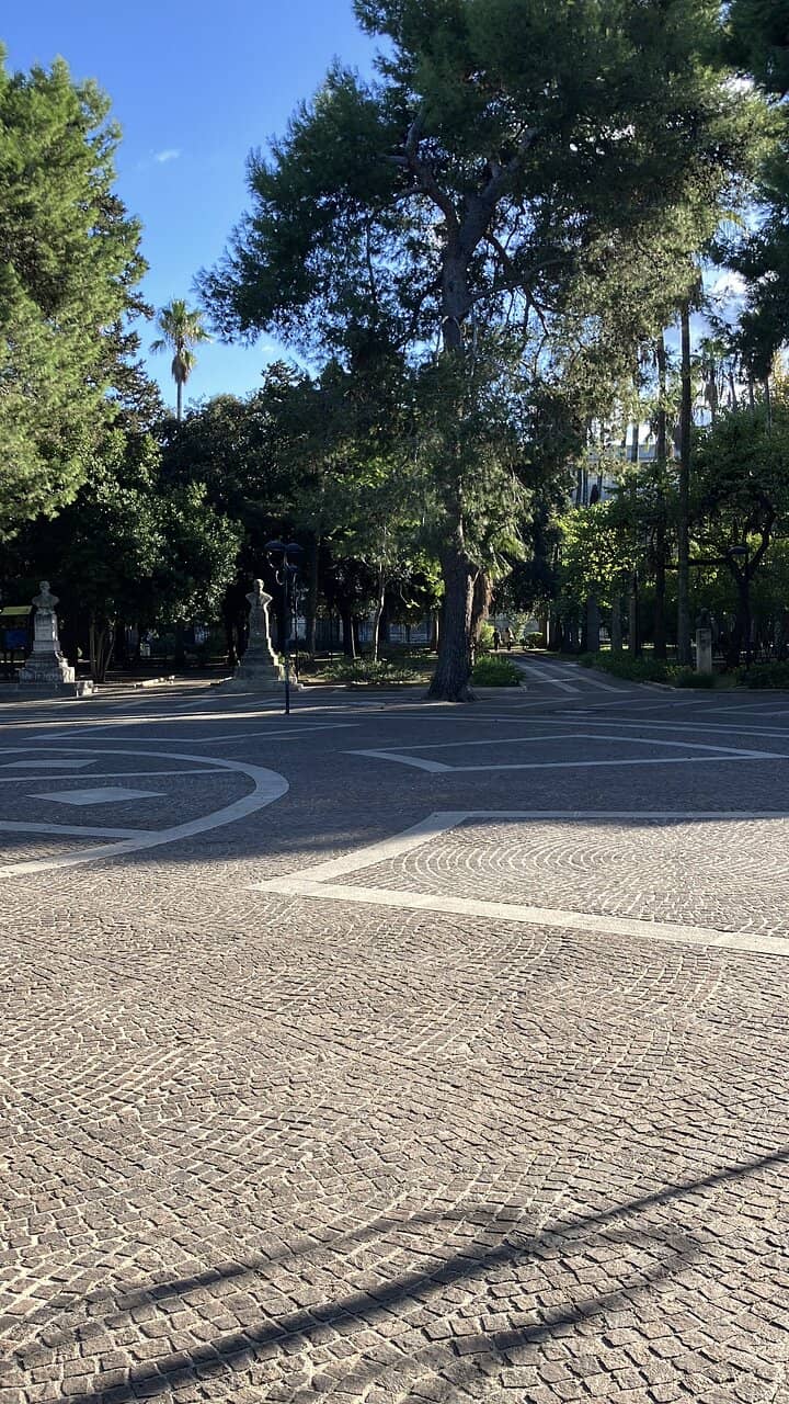 Vertical photo