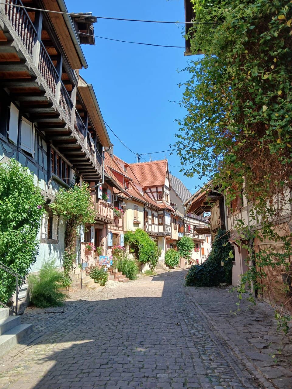 Château Saint-Léon