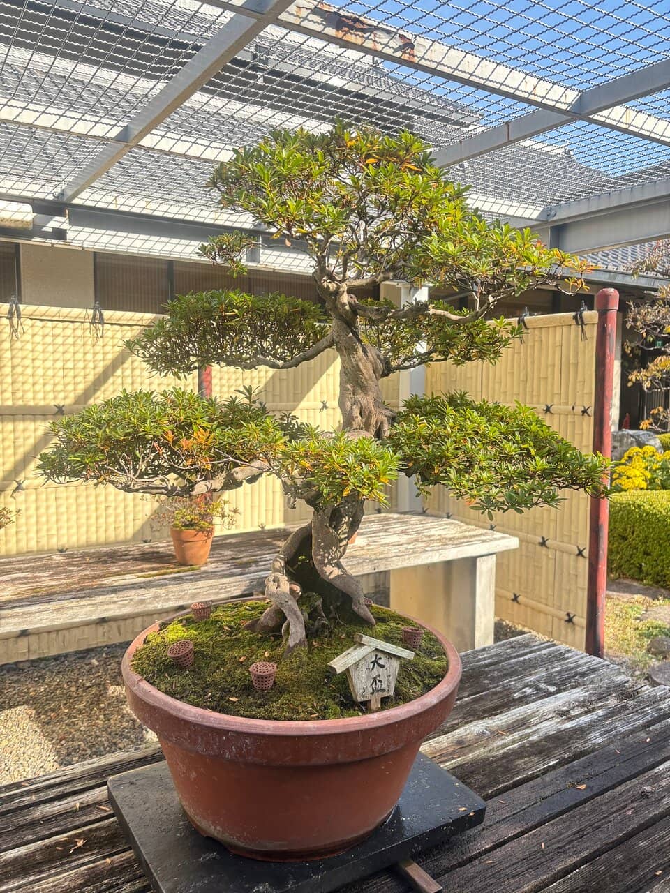 Samurai Armor Collection