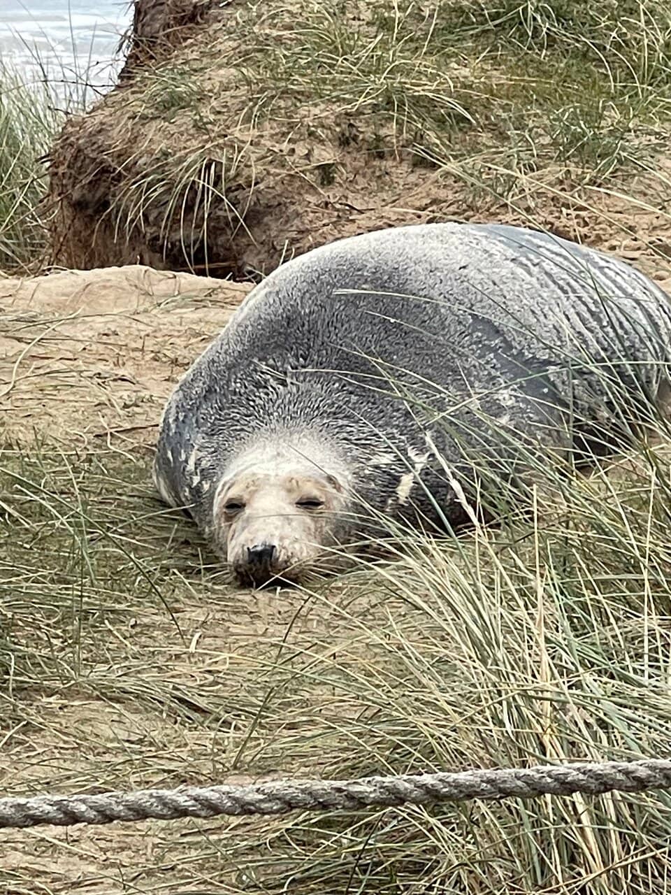 Winterton Lighthouse