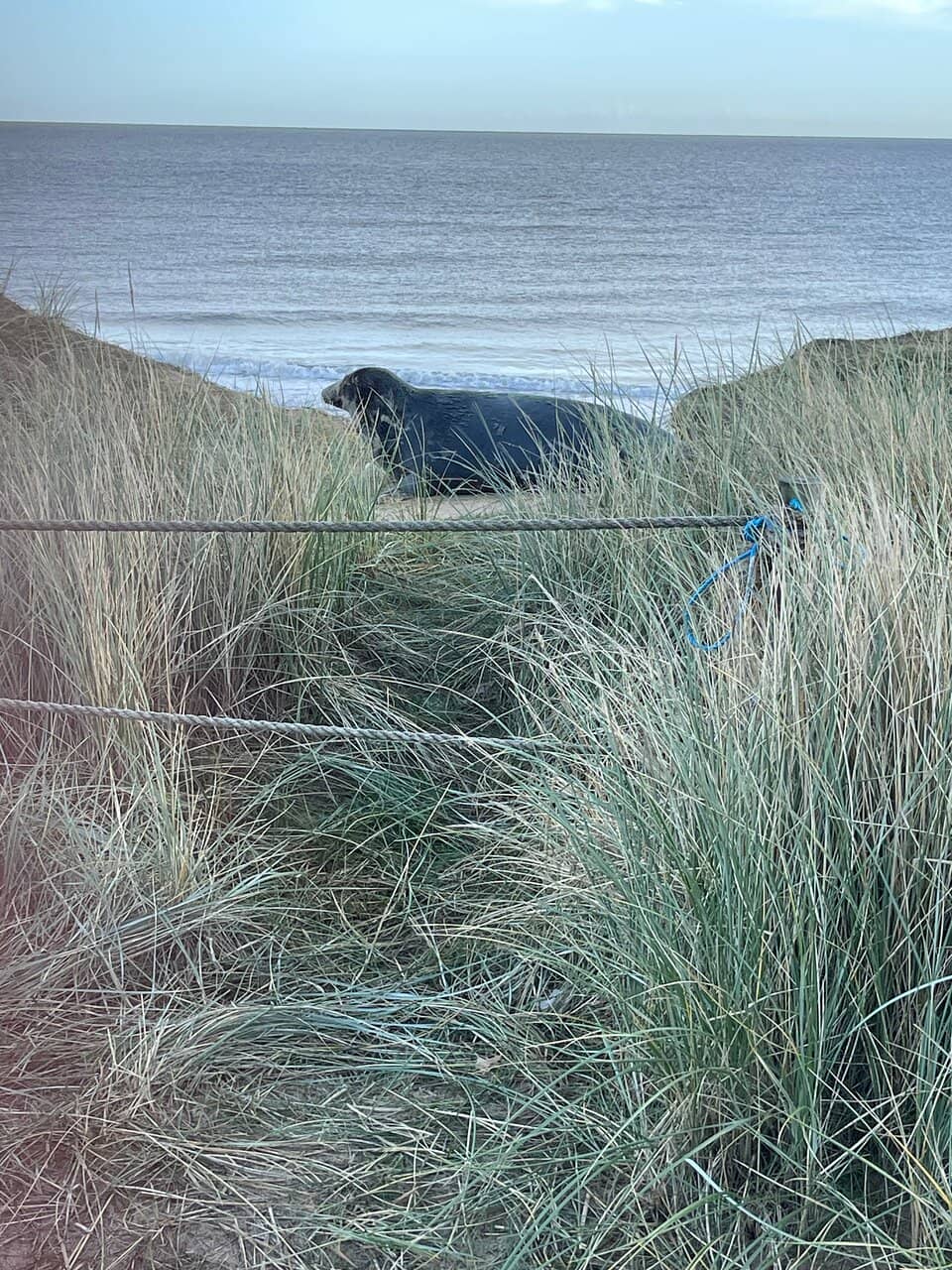 Expansive Sand Dunes