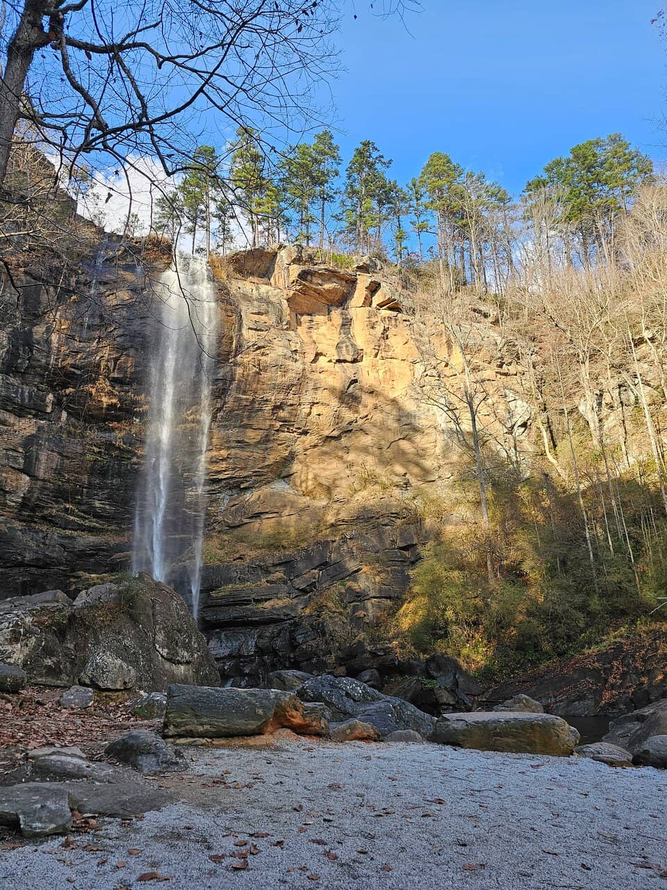 Vertical photo