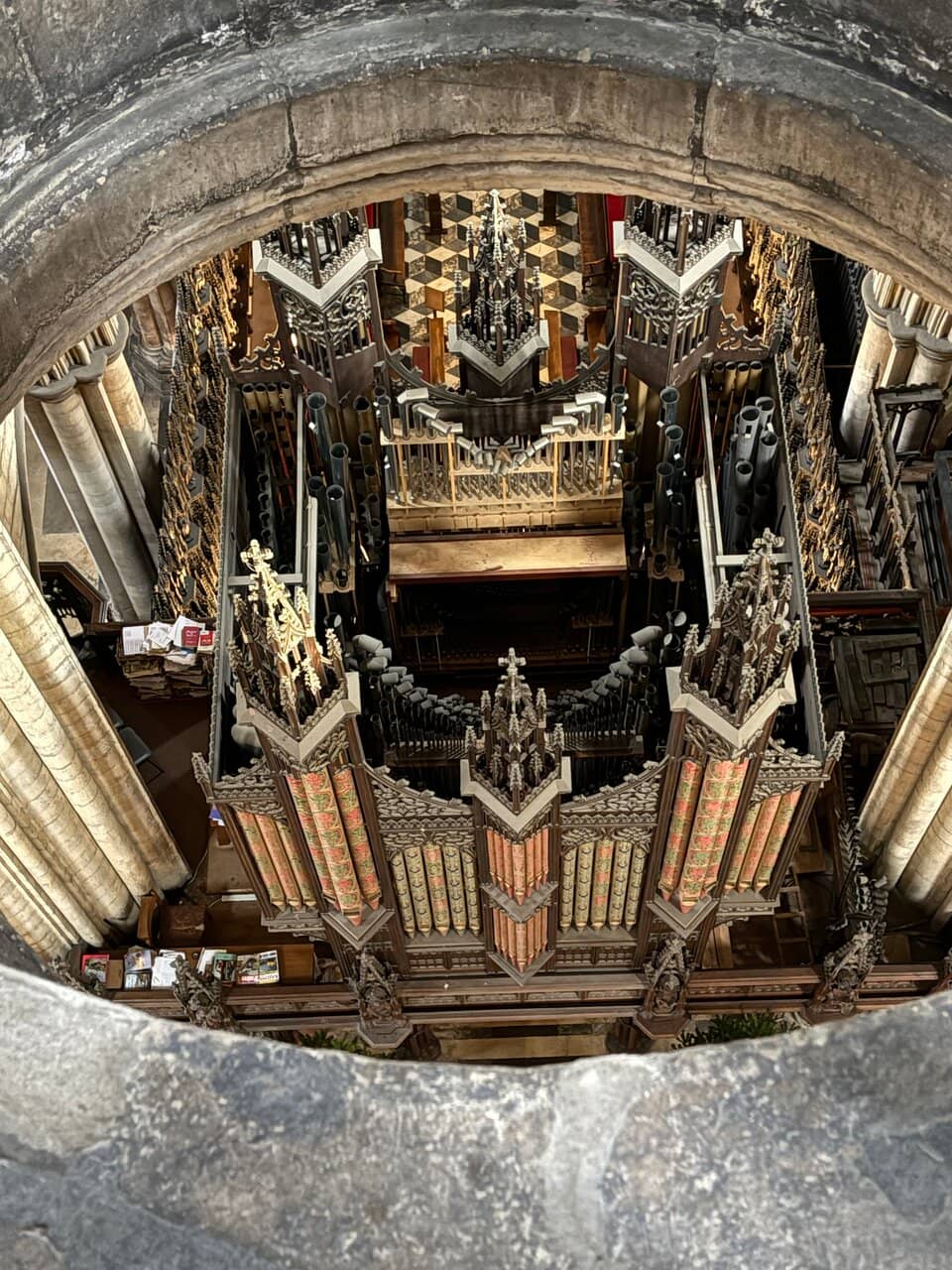 The Organ