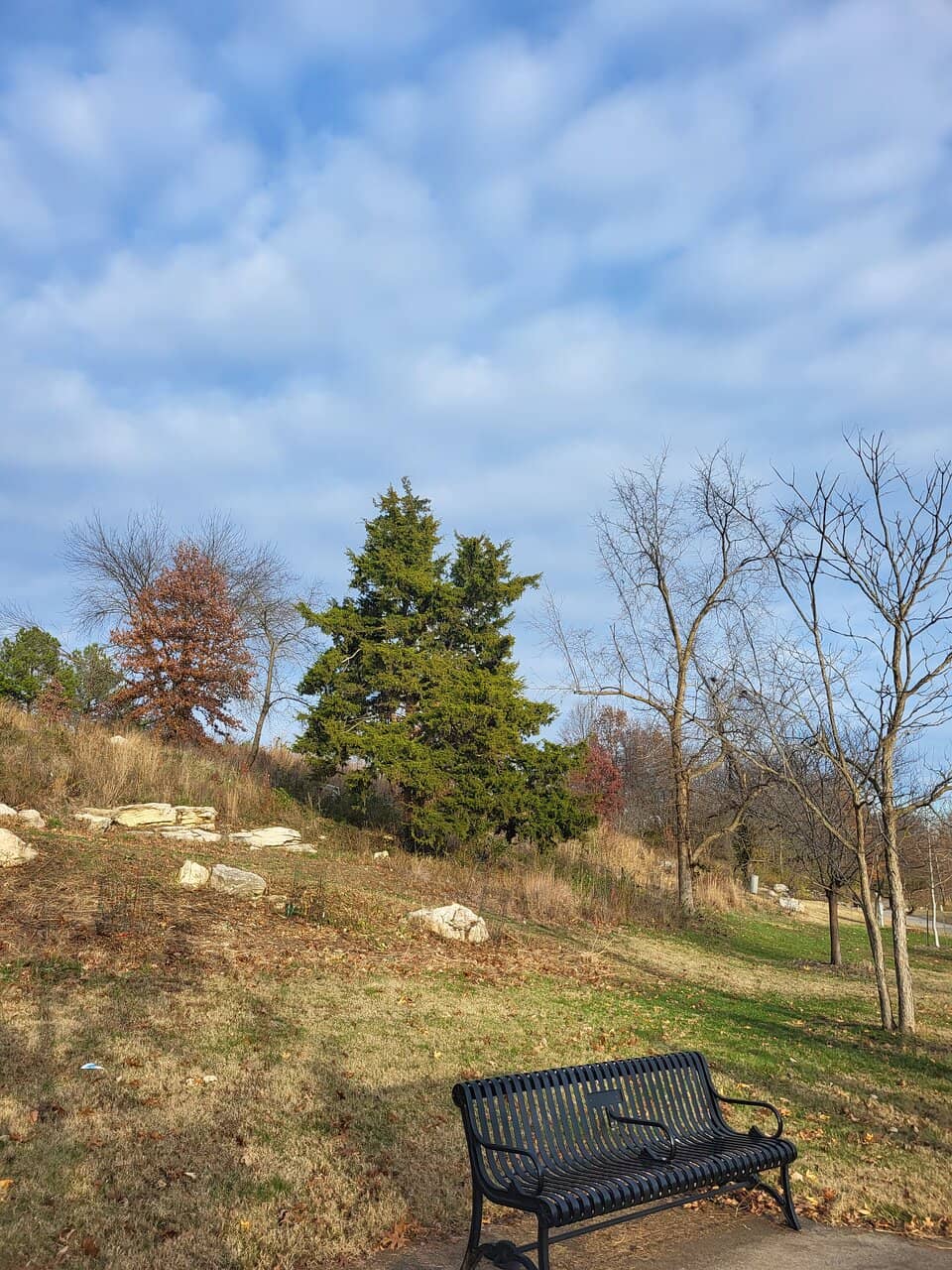 Vertical photo