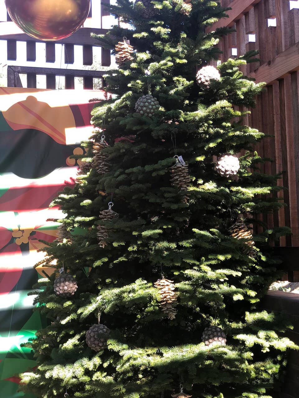 Vertical photo
