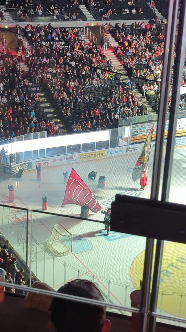 Ice Hockey Matches