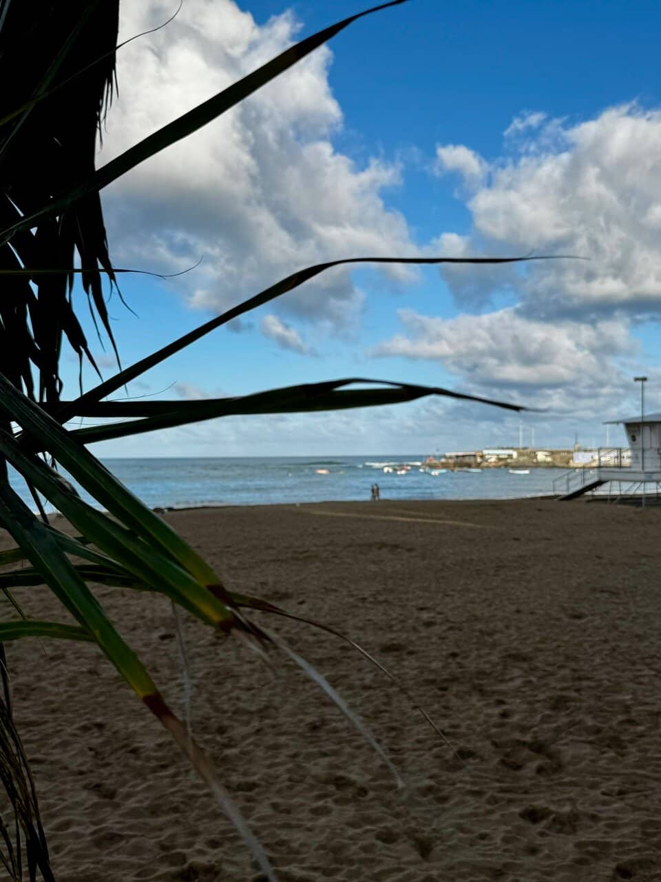 The Promenade