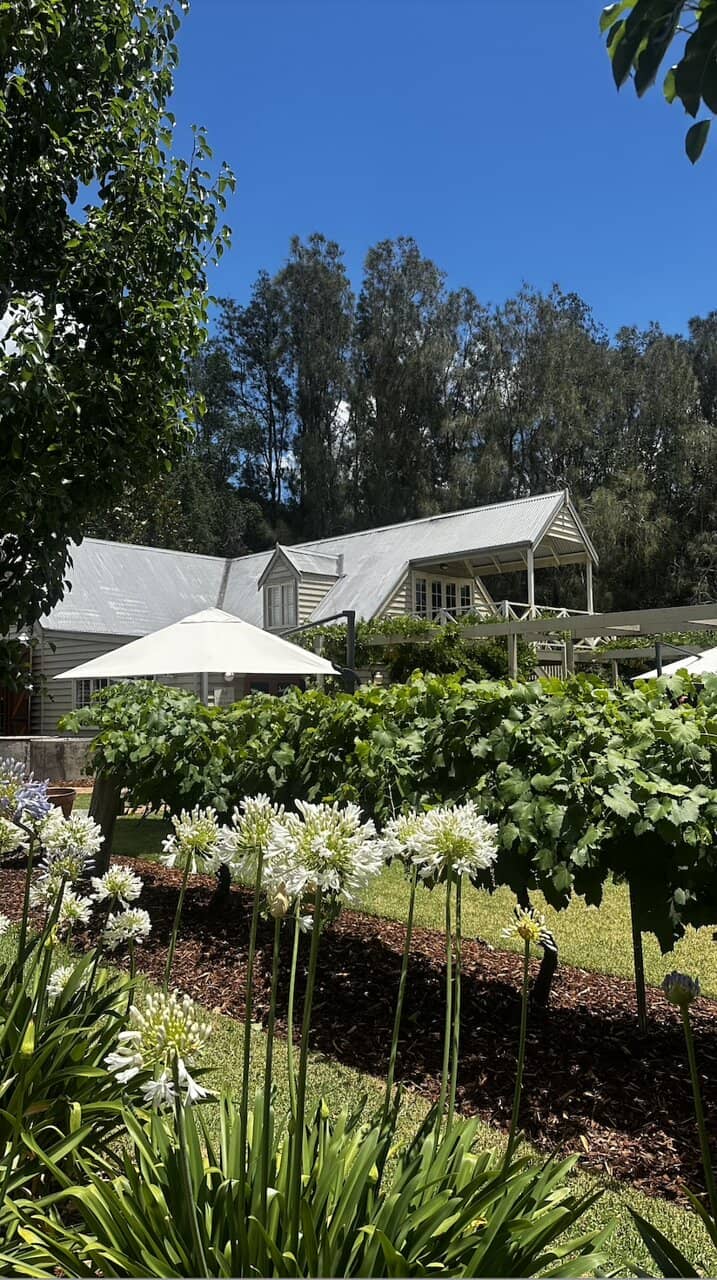 Stunning Vineyard Views