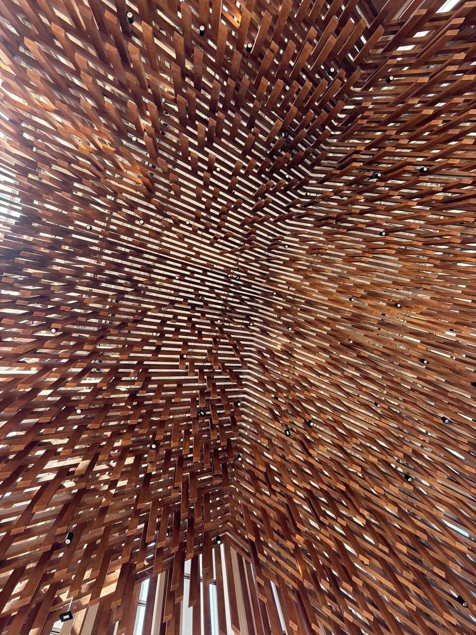 Vertical photo