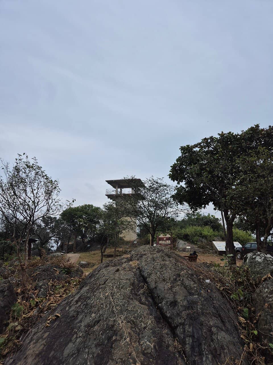 Forested Hiking Trails