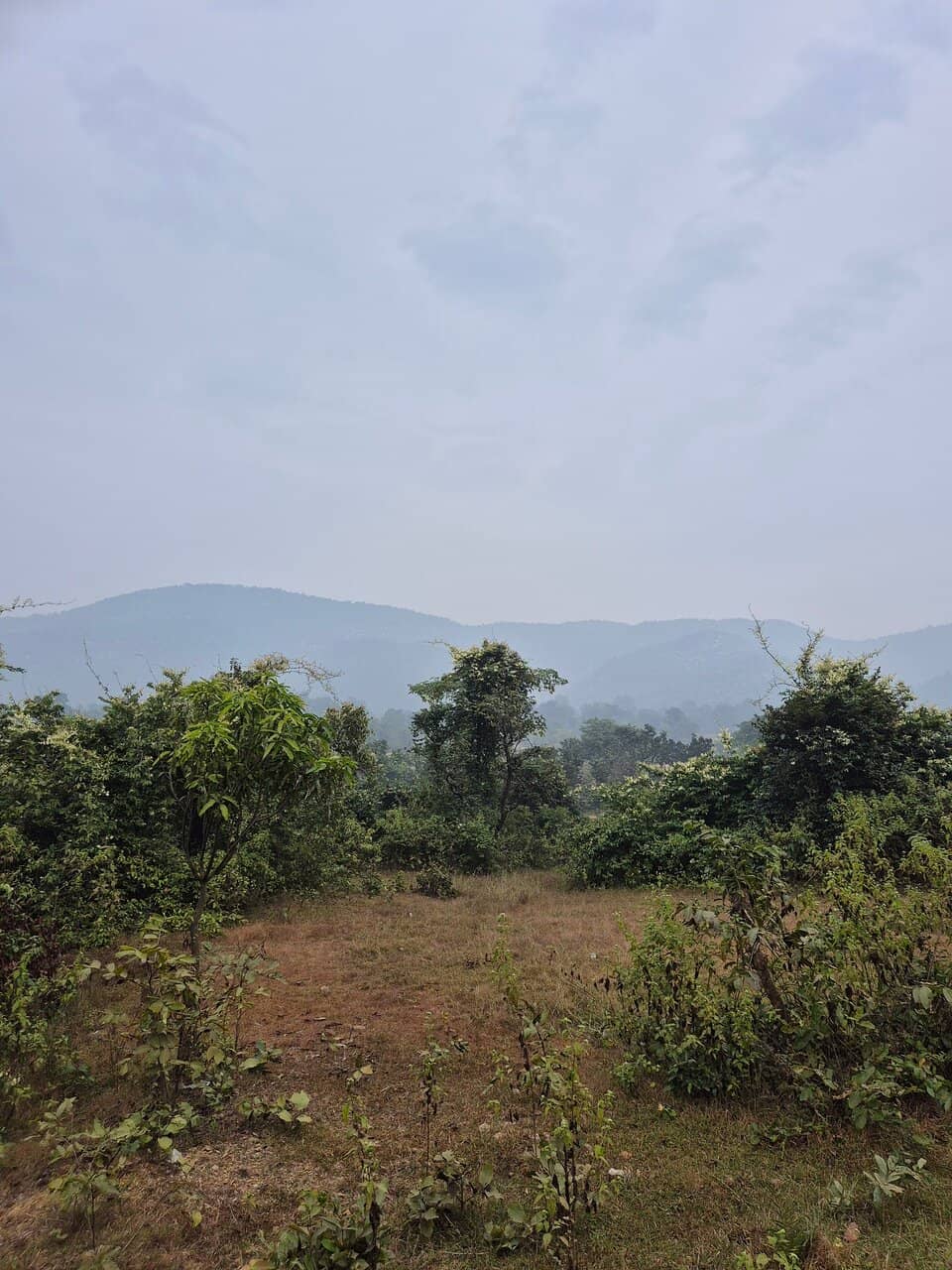 Chandil Dam