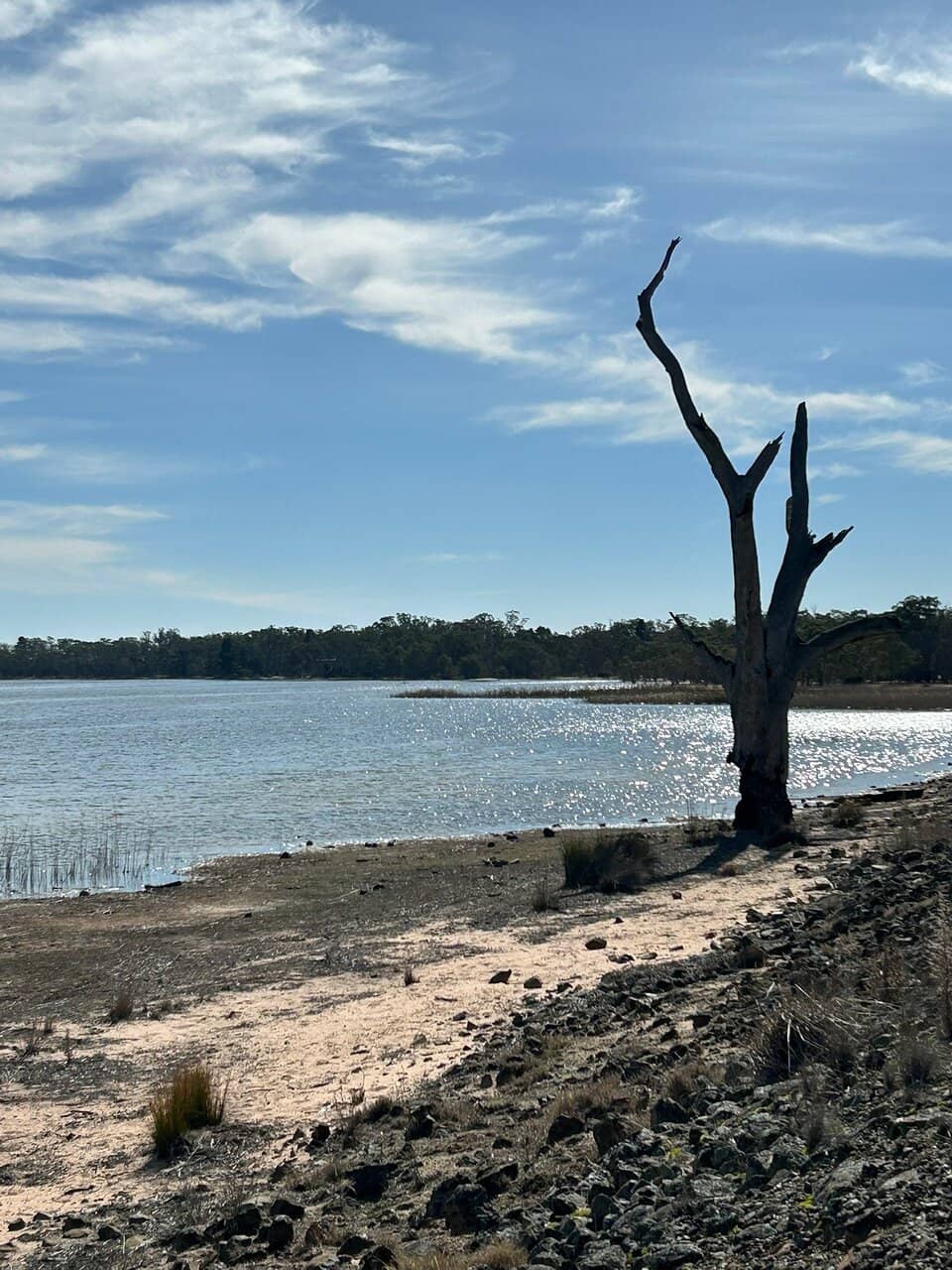 Tranquil Canoe Experience