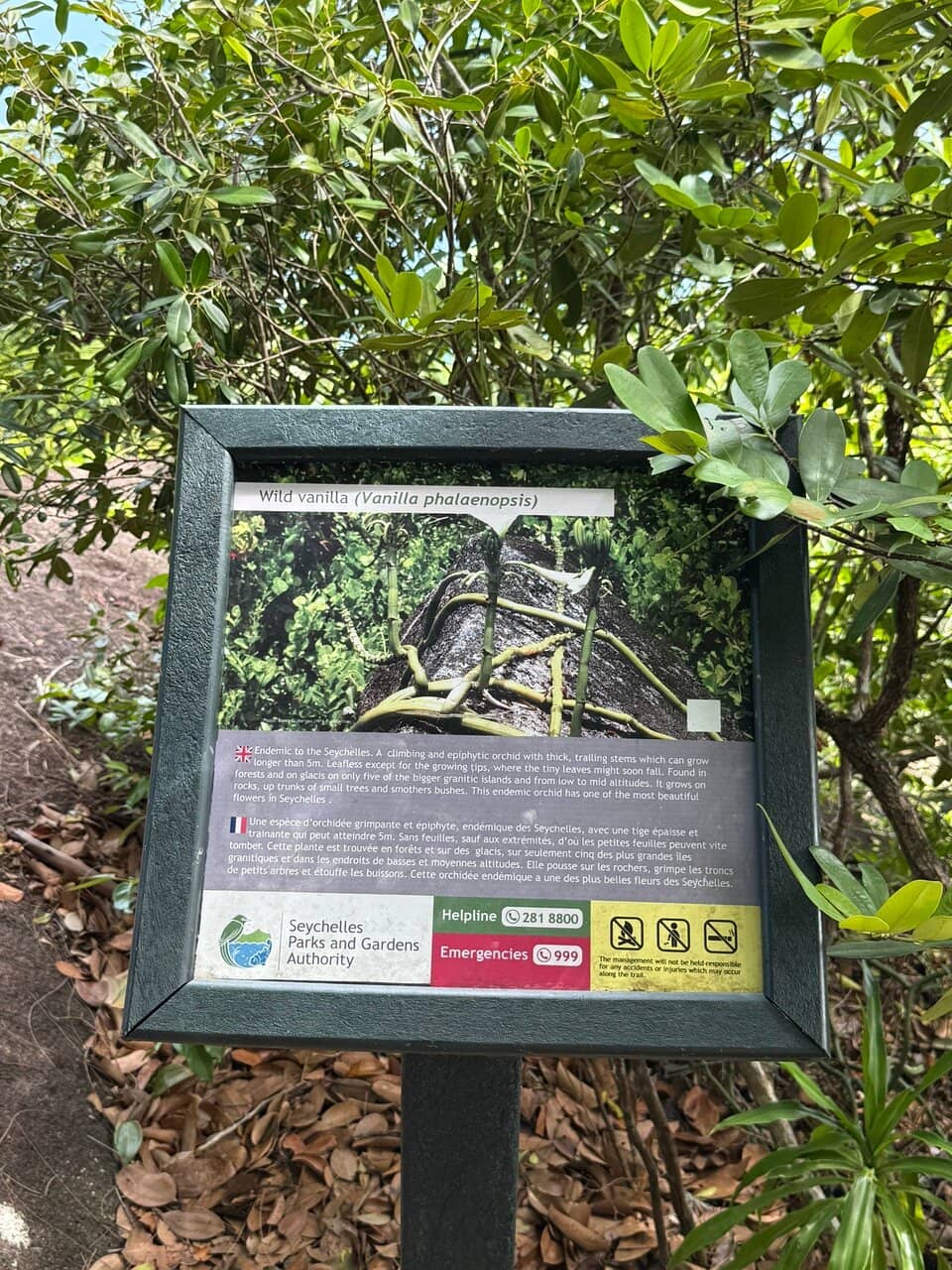 Snorkeling Adventures