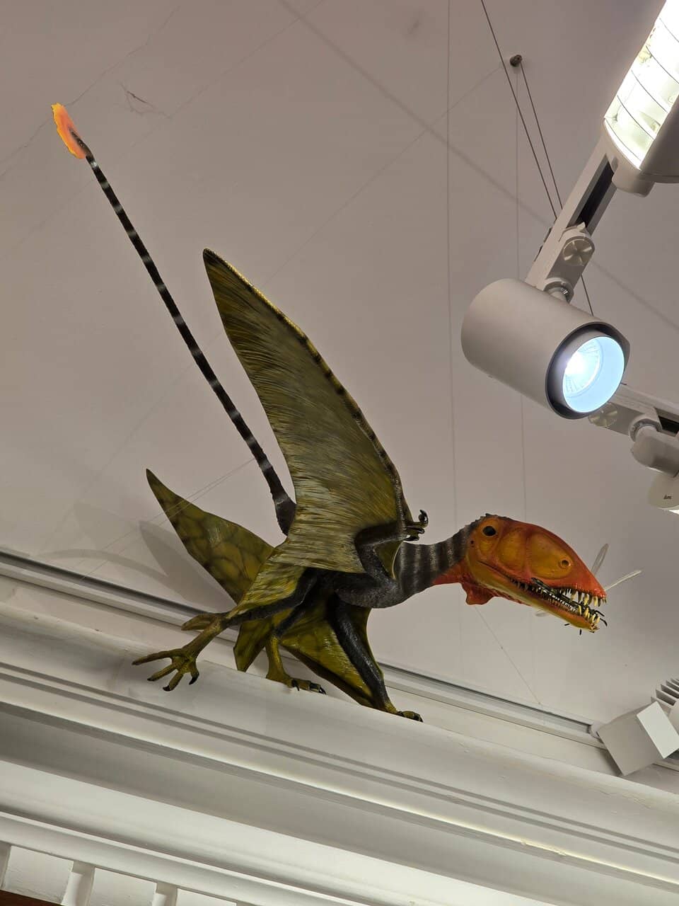 Local History Exhibits