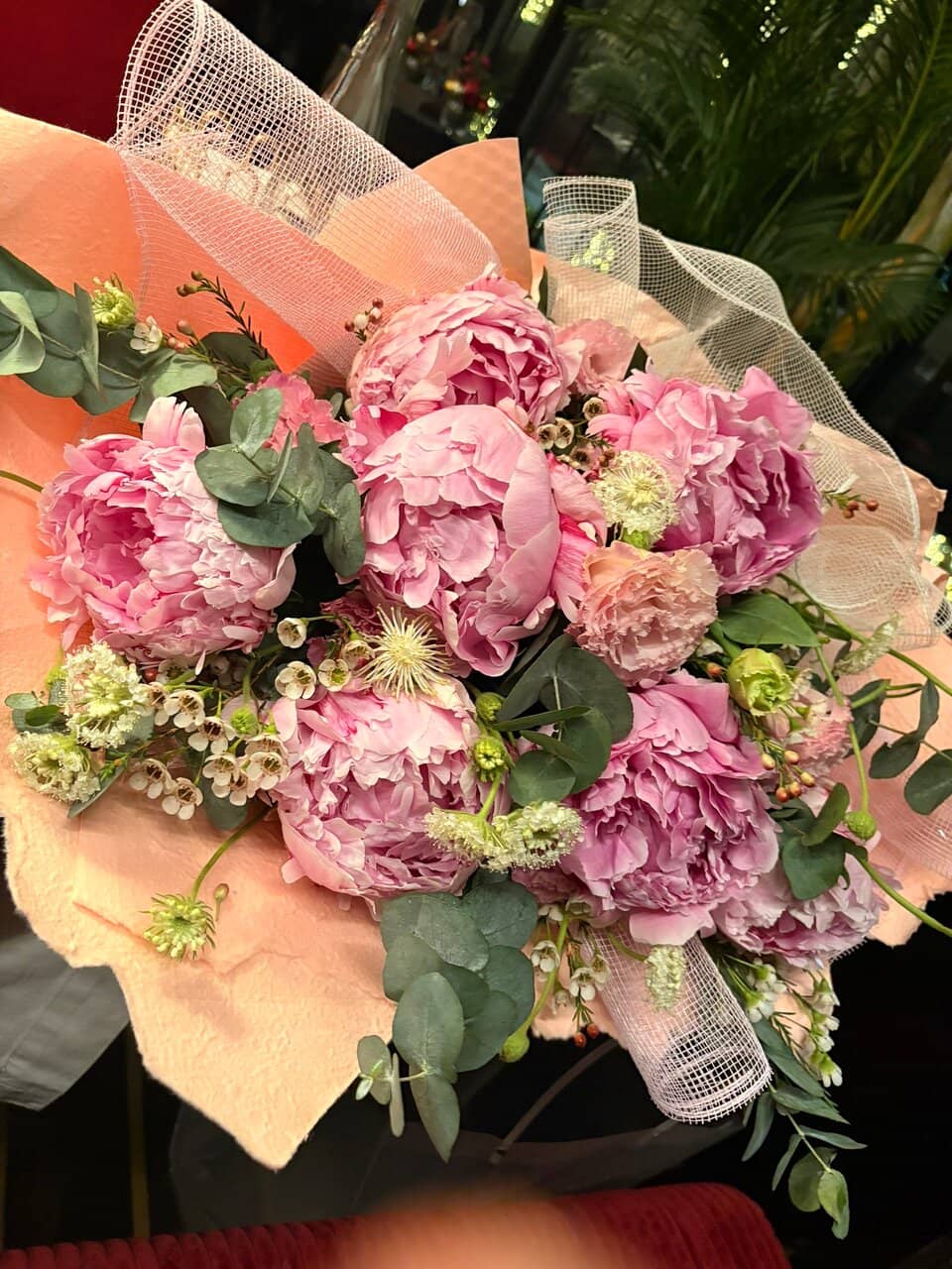 Halong Stone Crab Noodles