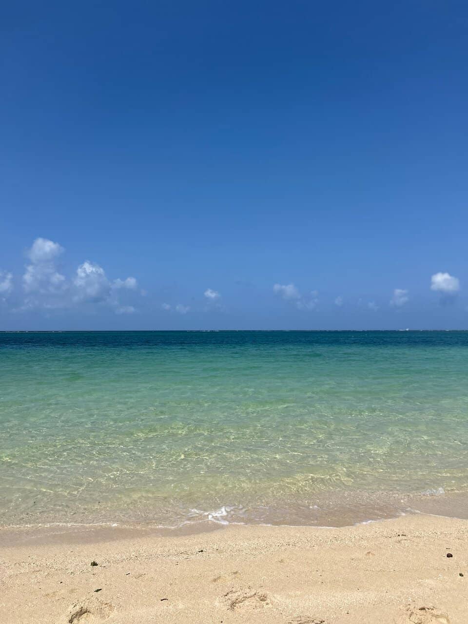 Oceanfront Beach Access