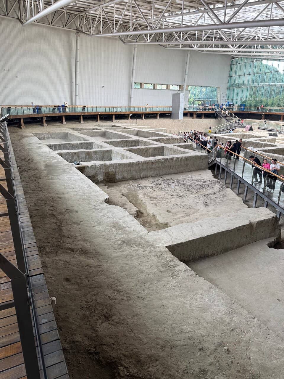 The Active Excavation Site