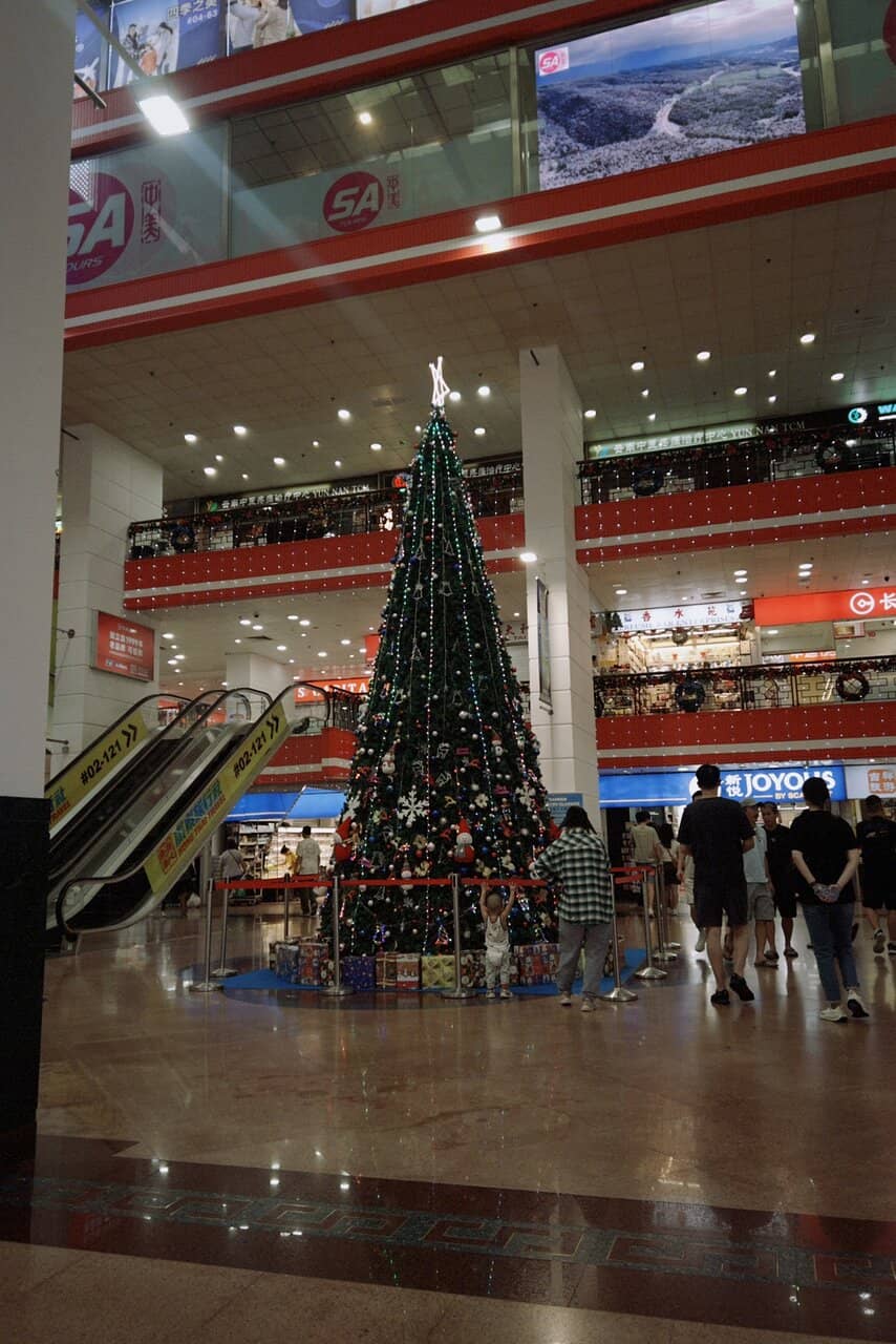 Chinatown's Hidden Shops