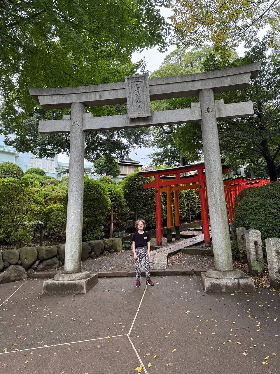 Vertical photo