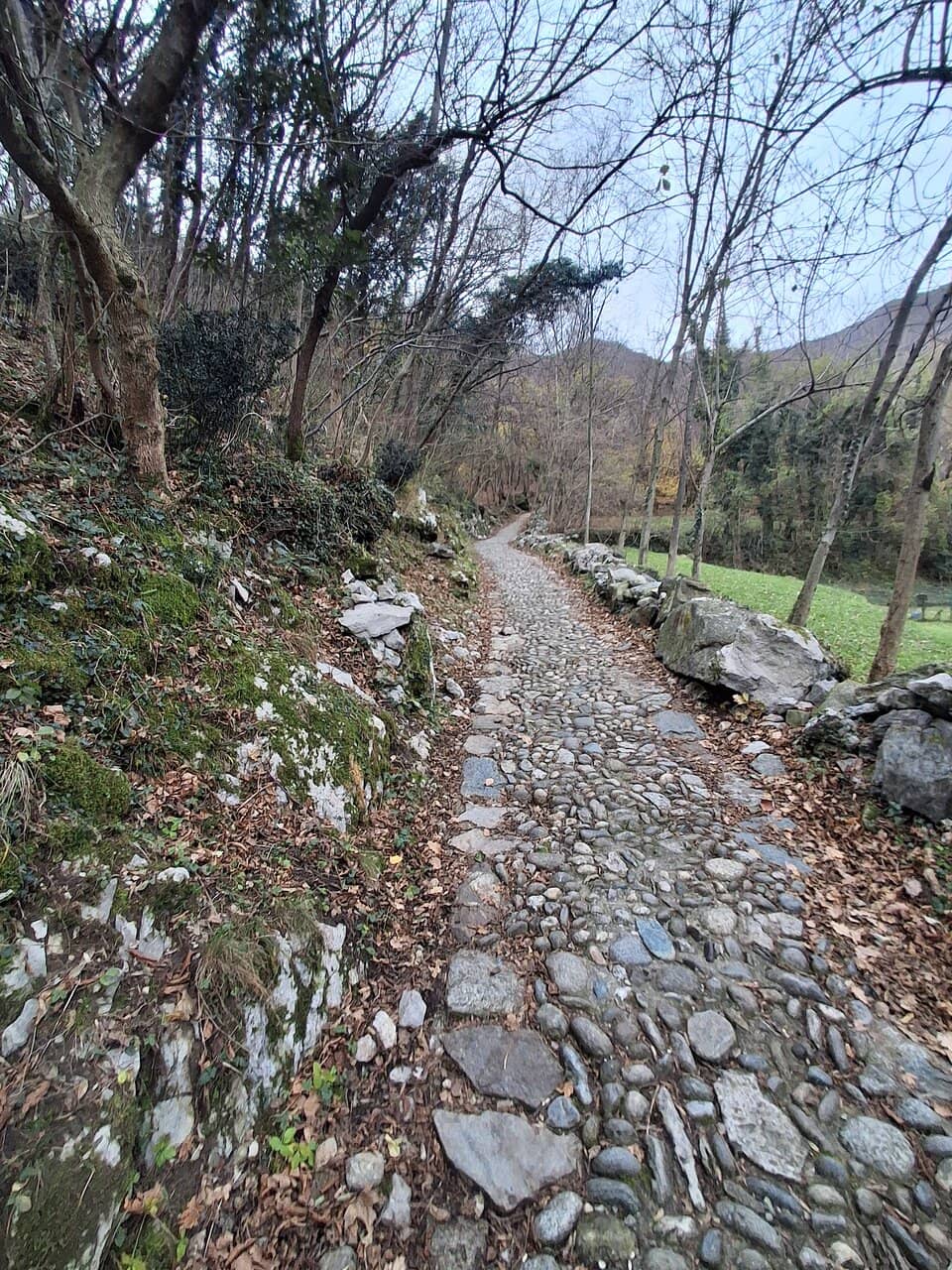 Valle dell'Oro Trail