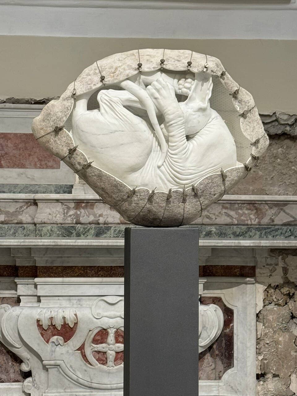 Ego Laurentius