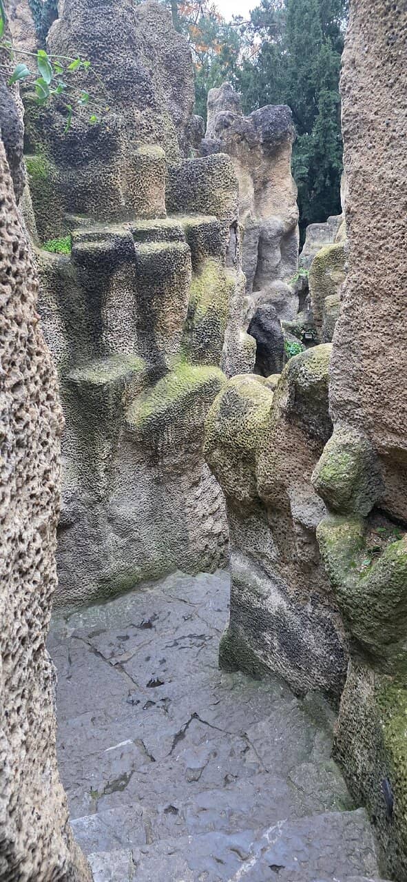 Vertical photo