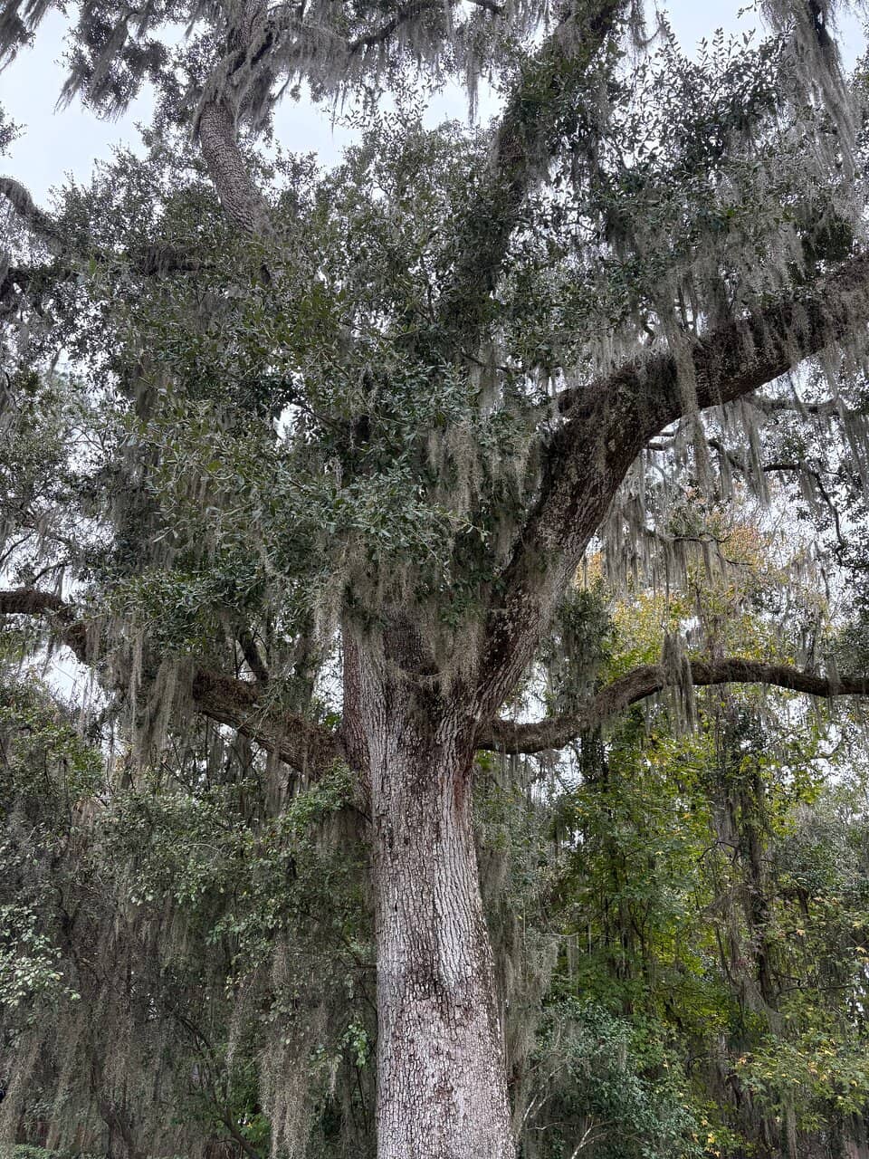 Serene Church Grounds