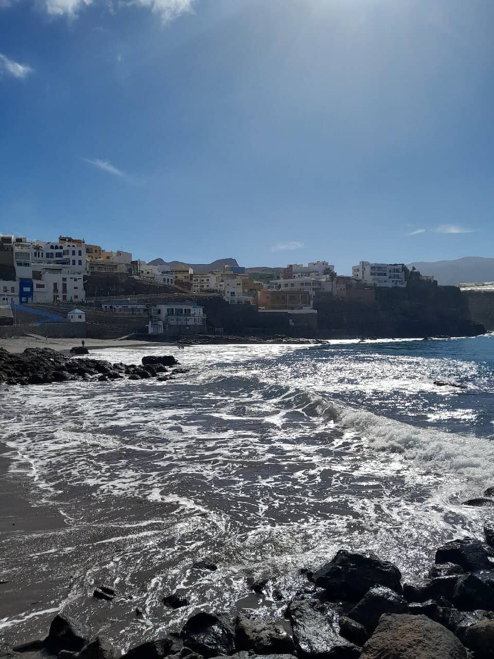 Diverse Marine Life Encounters