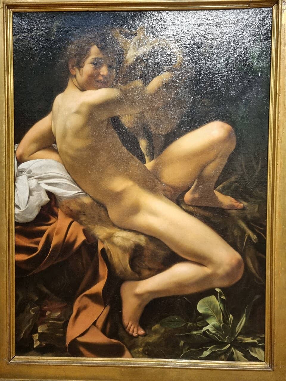 Panoramic City Views