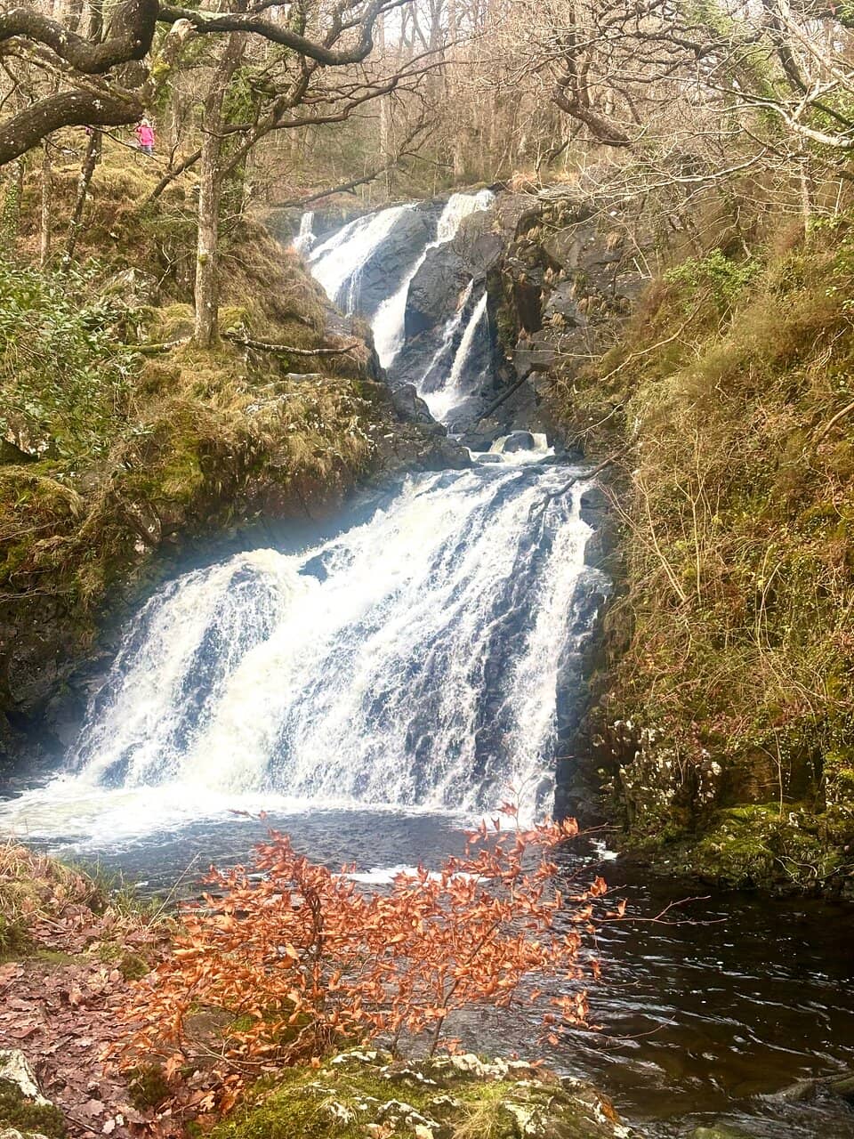 Cefn Coch