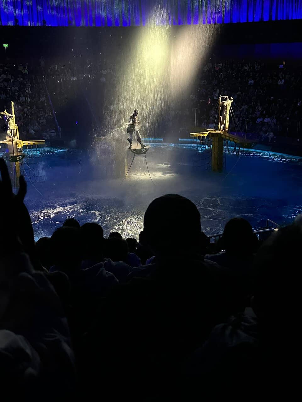 Diving and High Dives