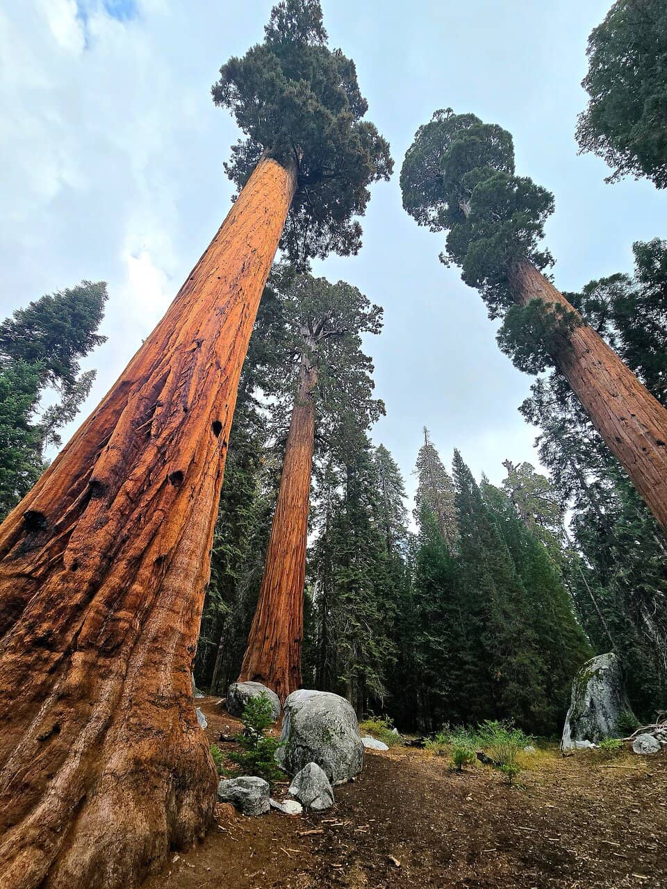 Interpretive Signage