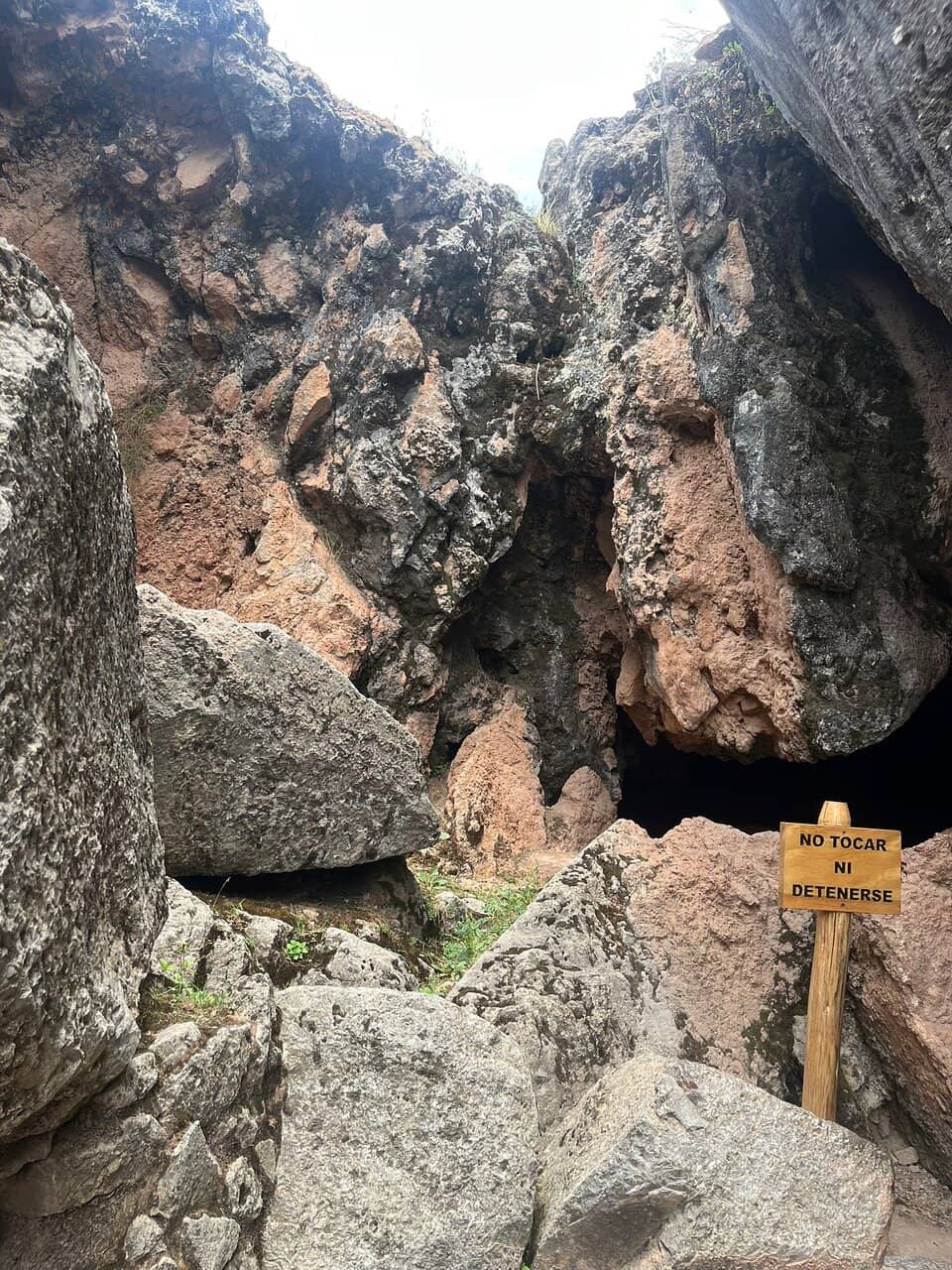 The Shadow of the Puma