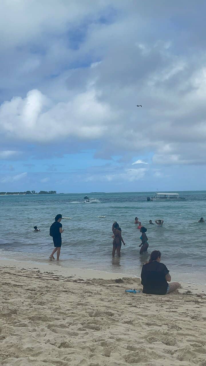 Tranquil Shores